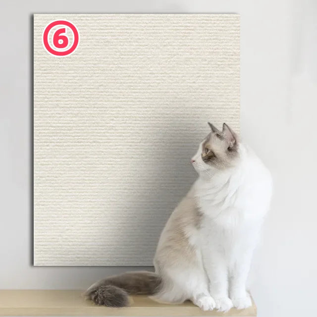 Wall-Mount Cat Scratch Protector