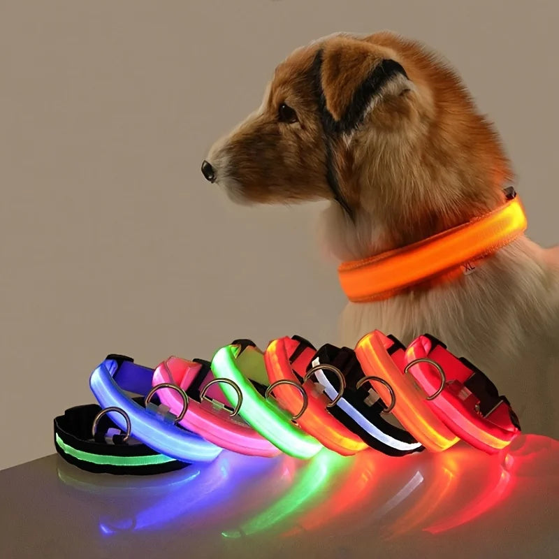 LED Glow Dog Safety Collar