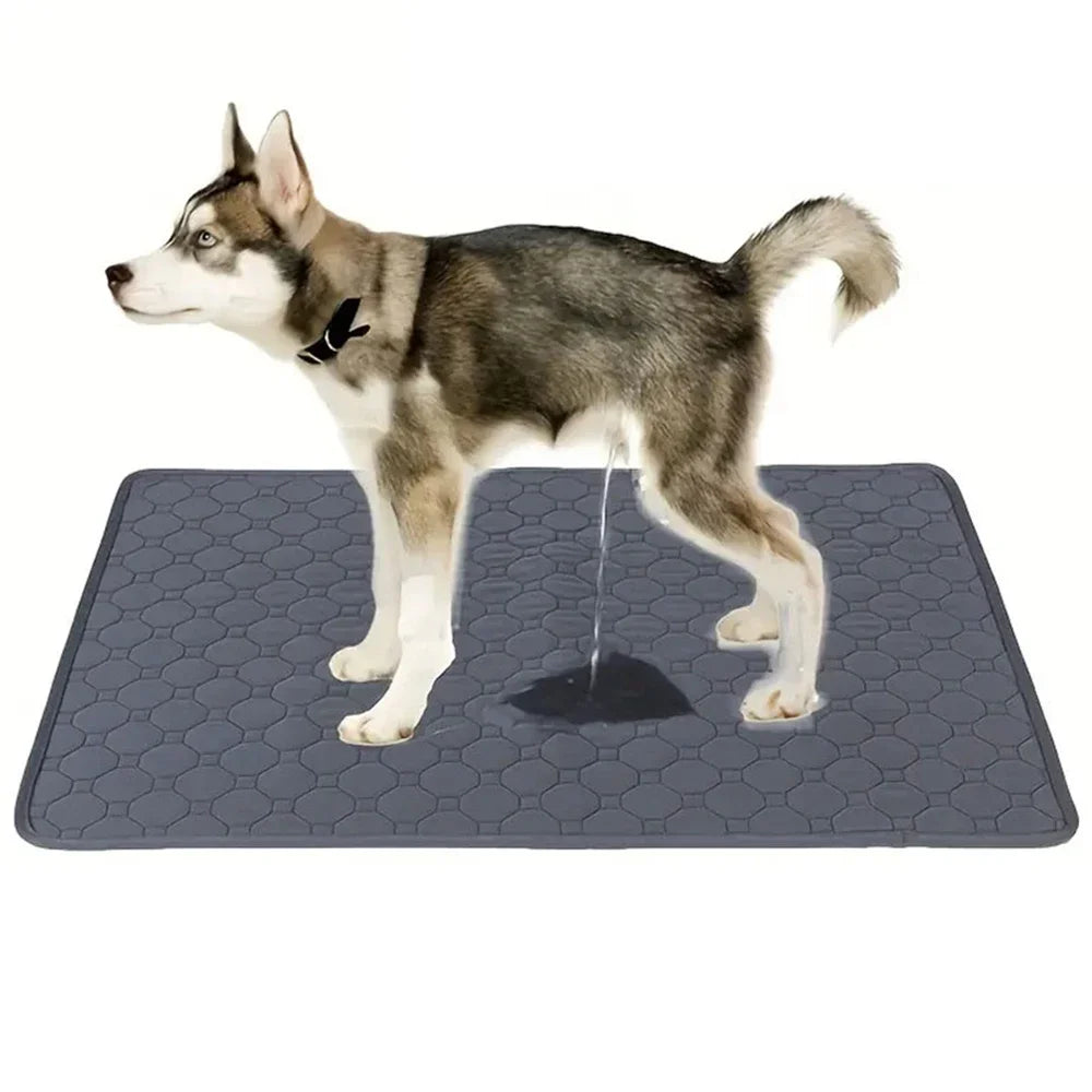 Reusable Dog Training Pee Pad