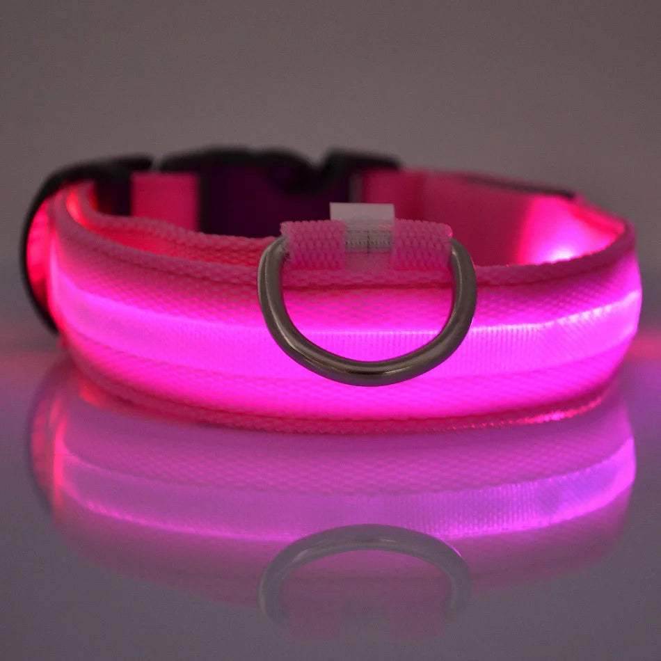 LED Glow Dog Safety Collar