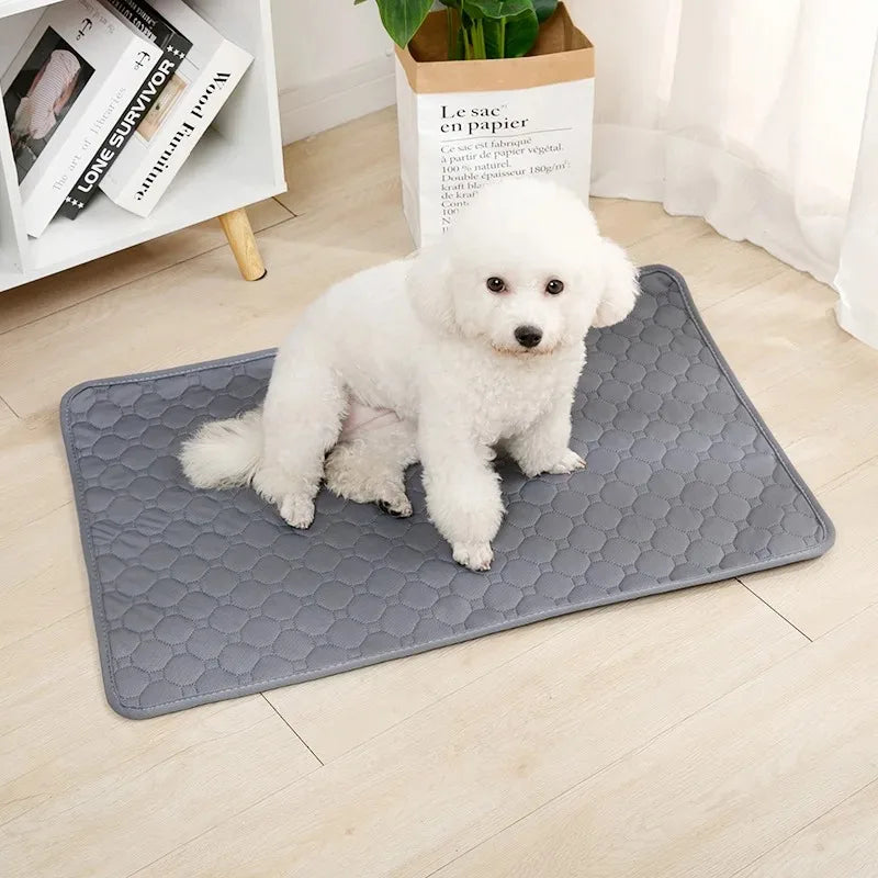 Reusable Dog Training Pee Pad