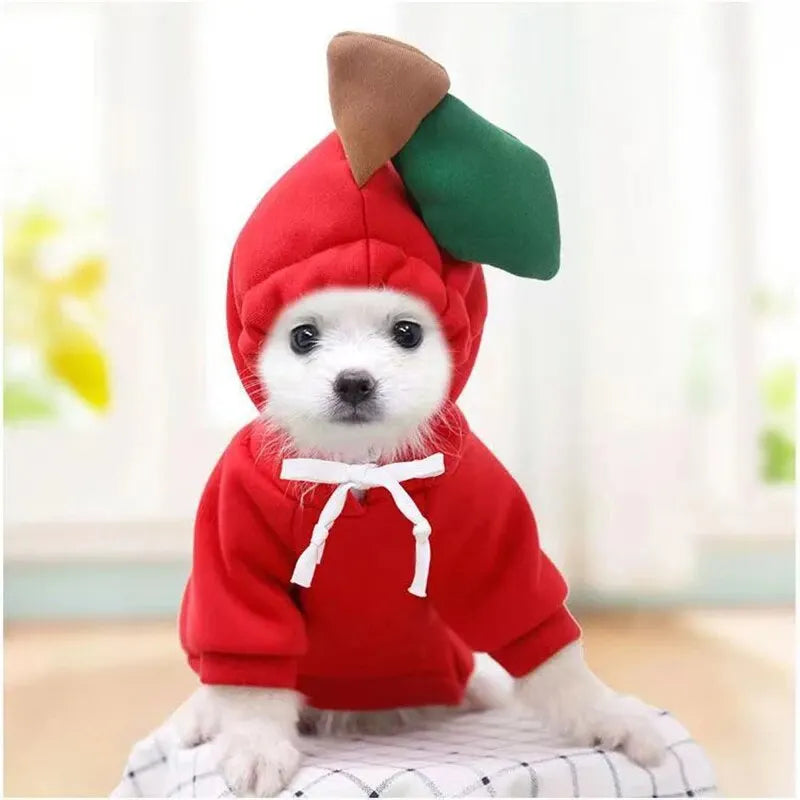 Adorable Pet Hoodie Costume