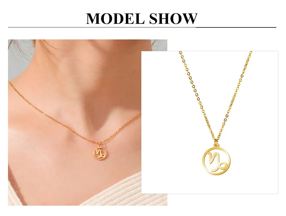 Zodiac Pendant Stainless Steel Necklace