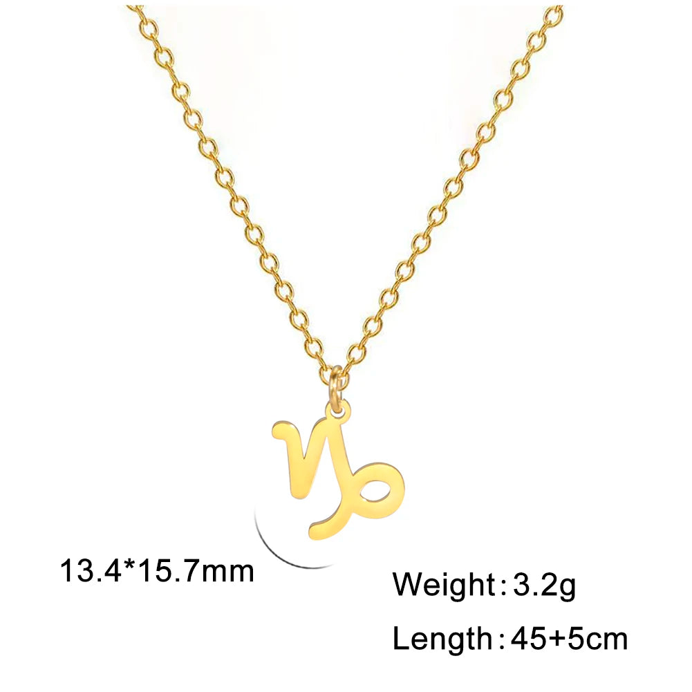 Zodiac Sign Stainless Steel or Gold Plated Pendant Necklace
