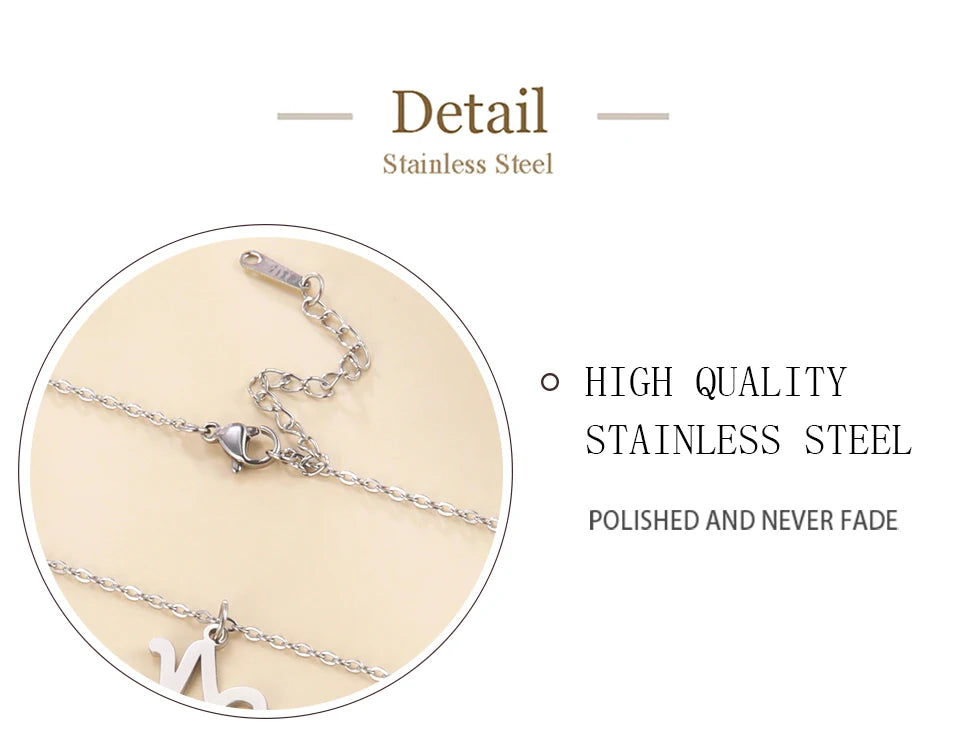 Zodiac Sign Stainless Steel or Gold Plated Pendant Necklace