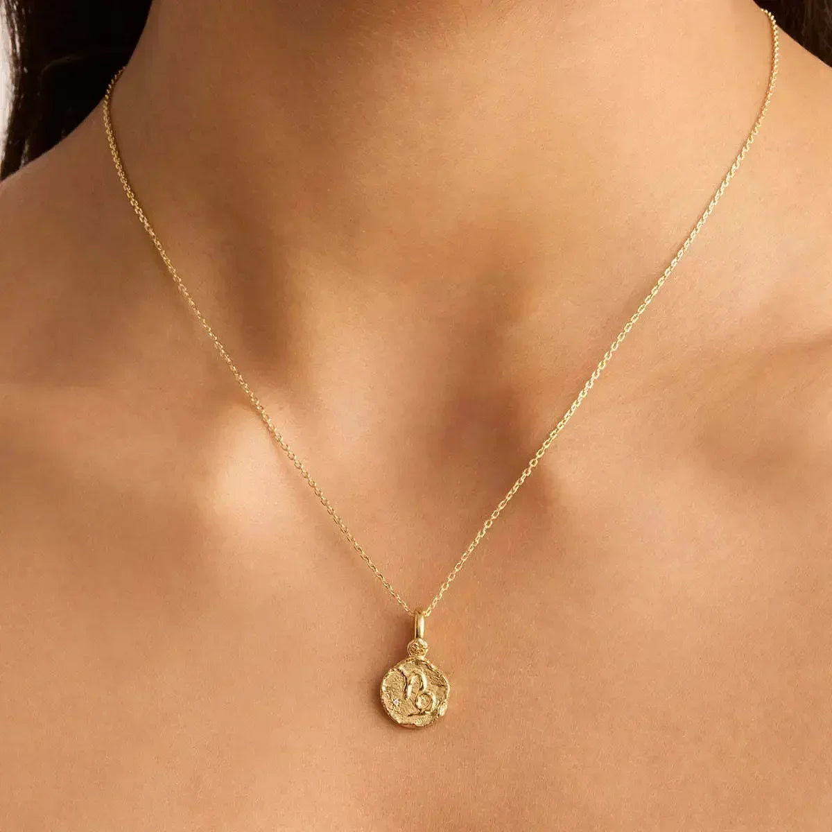 Constellation Vintage Zodiac Sign Coin Pendant Stainless Steel Necklace