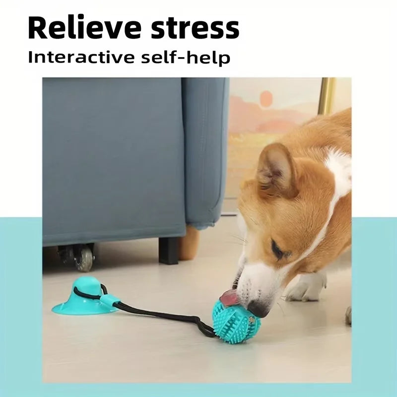 Tug & Chew Suction Toy