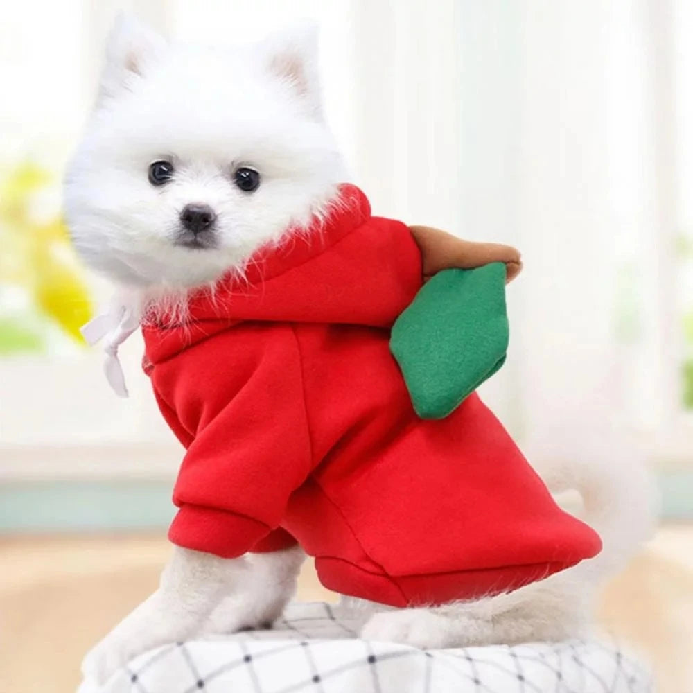 Adorable Pet Hoodie Costume