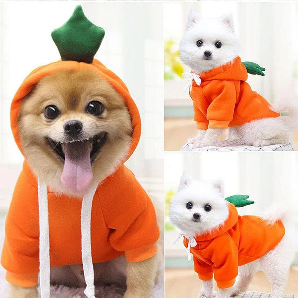 Adorable Pet Hoodie Costume