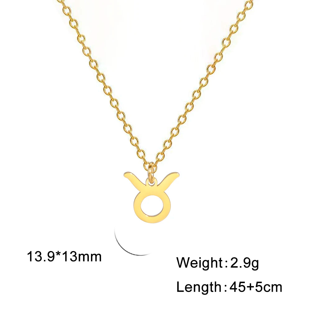 Zodiac Sign Stainless Steel or Gold Plated Pendant Necklace