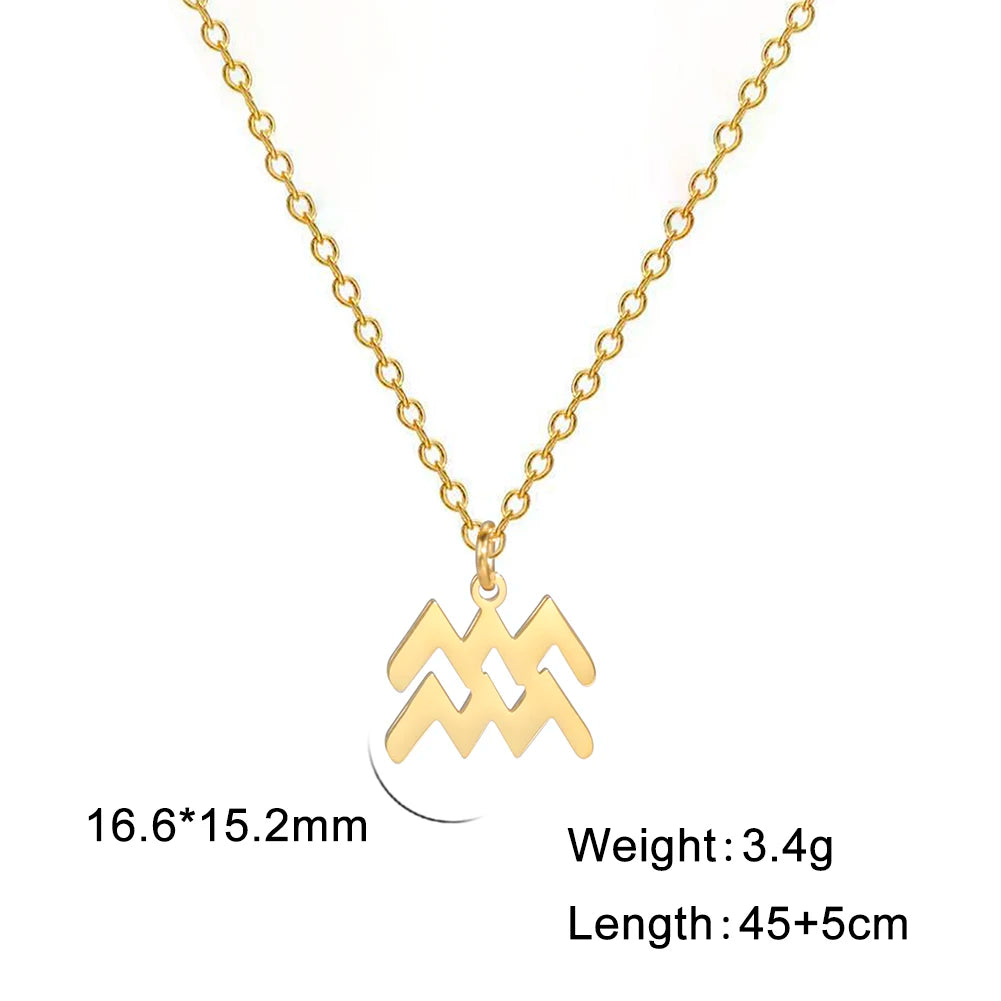 Zodiac Sign Stainless Steel or Gold Plated Pendant Necklace