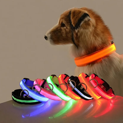 LED Glow Dog Safety Collar