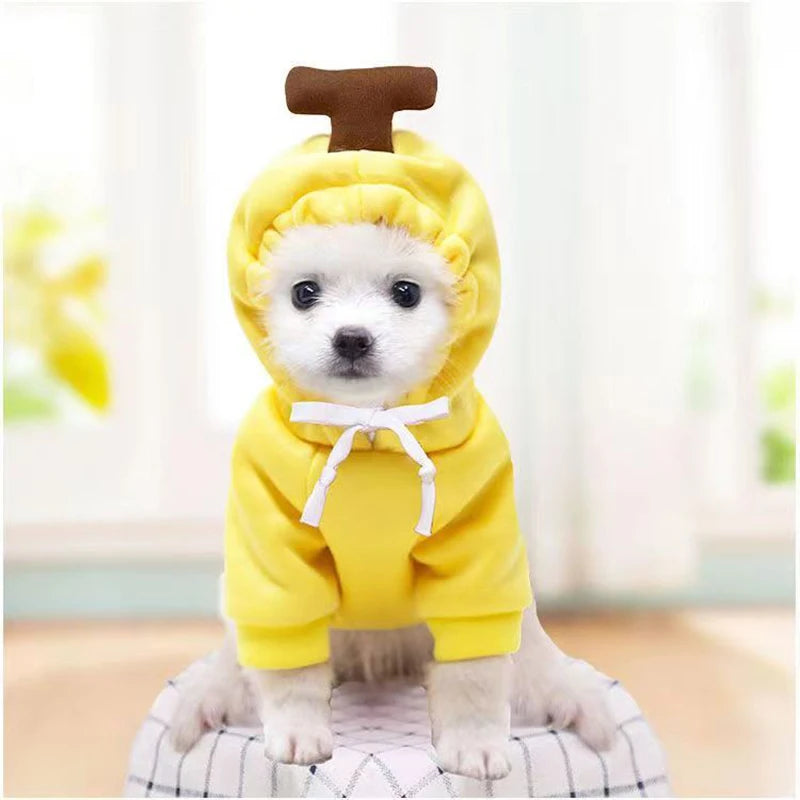 Adorable Pet Hoodie Costume