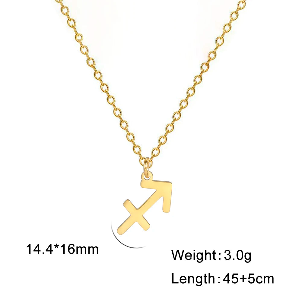Zodiac Sign Stainless Steel or Gold Plated Pendant Necklace