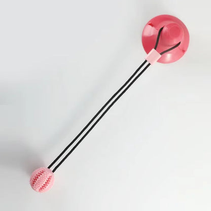 Tug & Chew Suction Toy