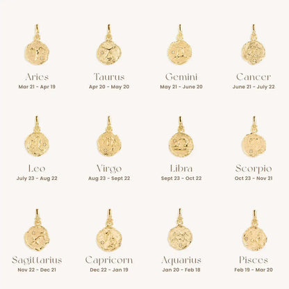 Constellation Vintage Zodiac Sign Coin Pendant Stainless Steel Necklace