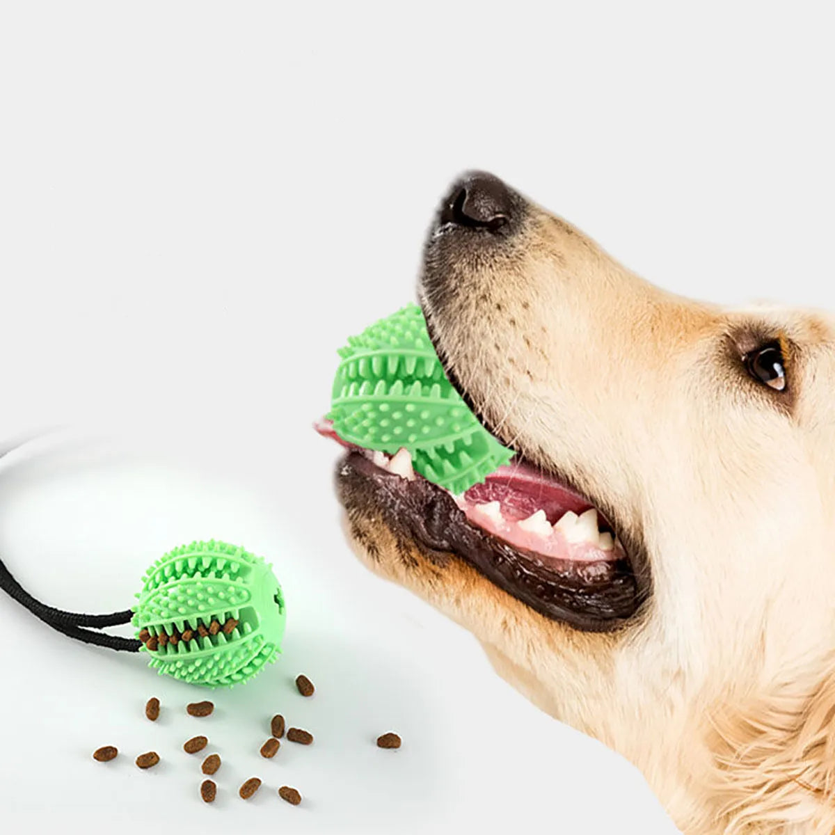 Tug & Chew Suction Toy
